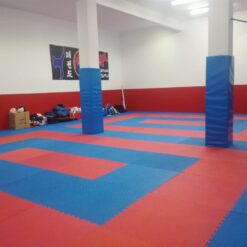 Tatami 100x100x2.5cm Mod vermelho/azul. "N" cinco linhas