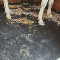 loseta caucho especial caballos