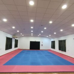 Tatami puzzle de 4 cm de grosor en Dojo