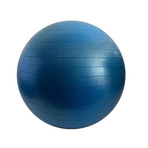 Fit ball 65