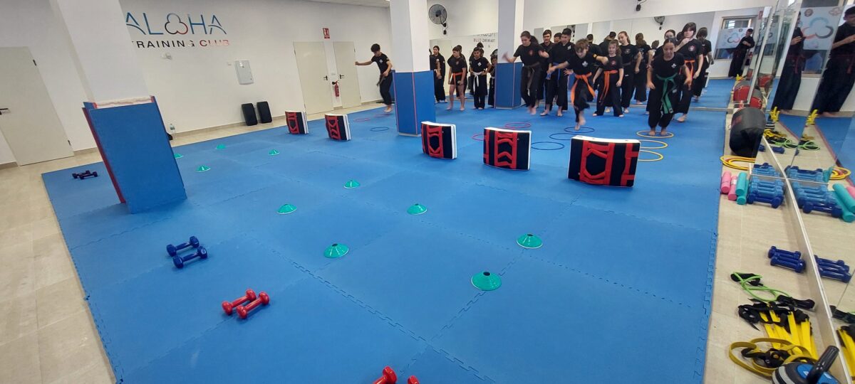 Entrenamiento Artes Marciales con tatami