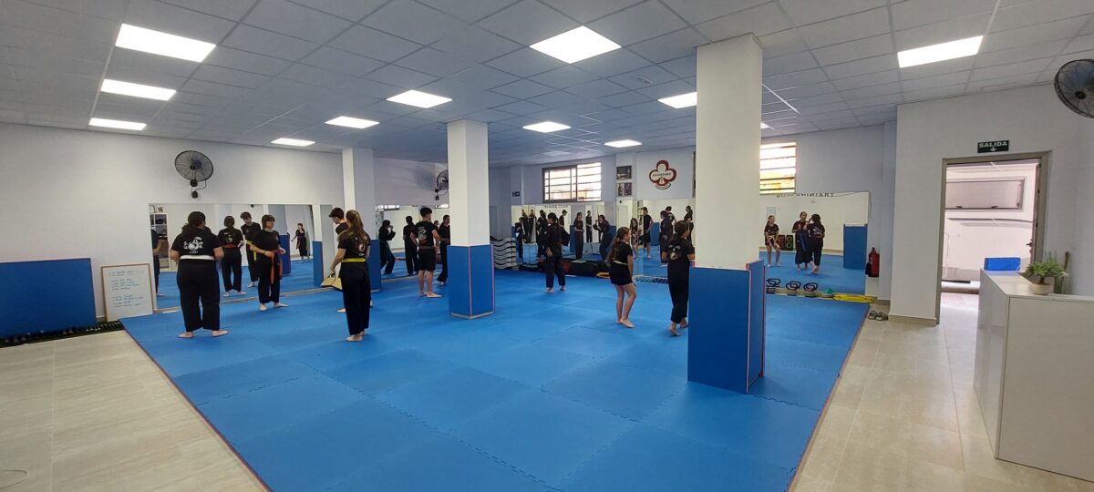 Tatami artes marciales entrenamiento