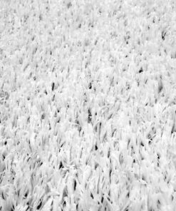 Césped artificial blanco
