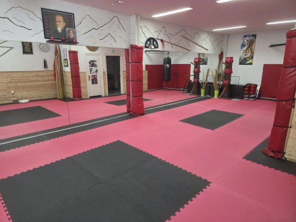 tatami 100x100x2,5 cm 5 lineas artes marciales