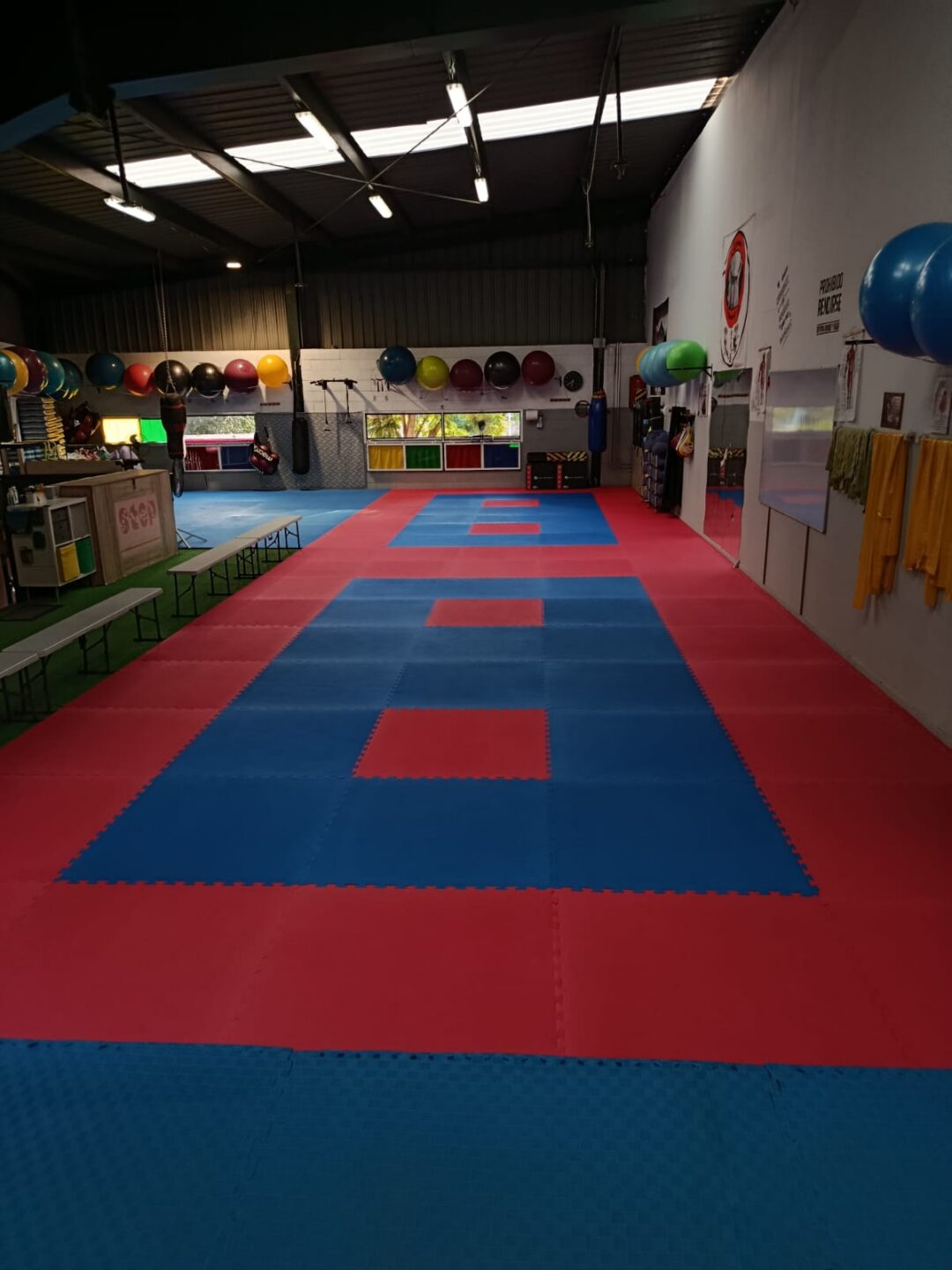 Tatami puzzle 100x100x2 cm para artes marciales
